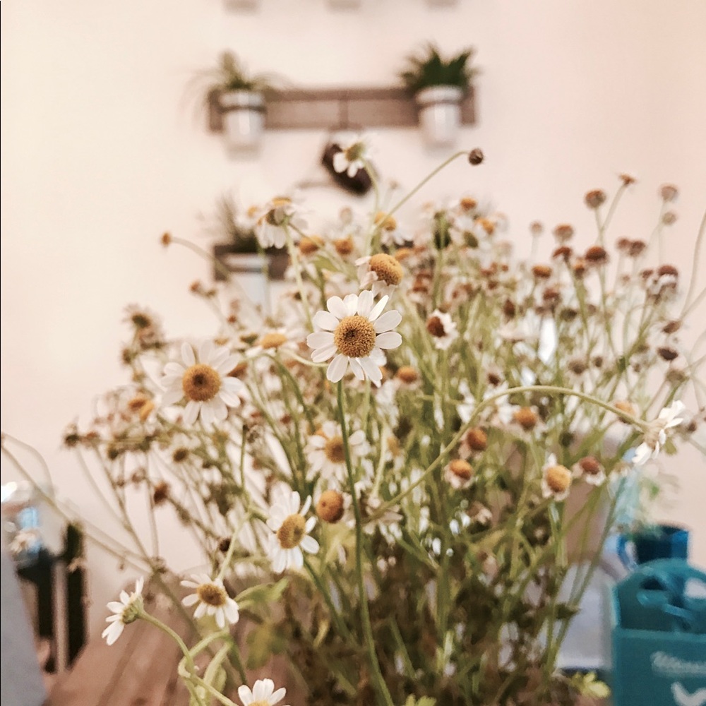 Meet your Posher, Jem